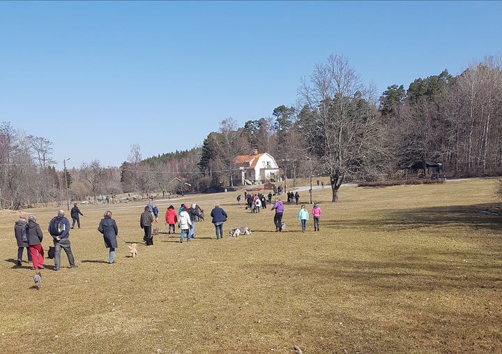 Pudelpromenad i Ängsjö