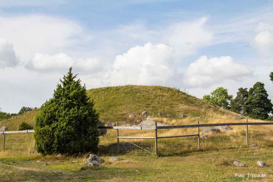 Pudelpromenad i Uppsala